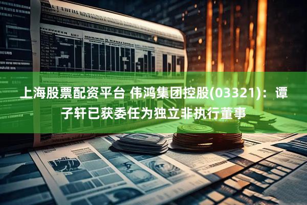 上海股票配资平台 伟鸿集团控股(03321)：谭子轩已获委任为独立非执行董事